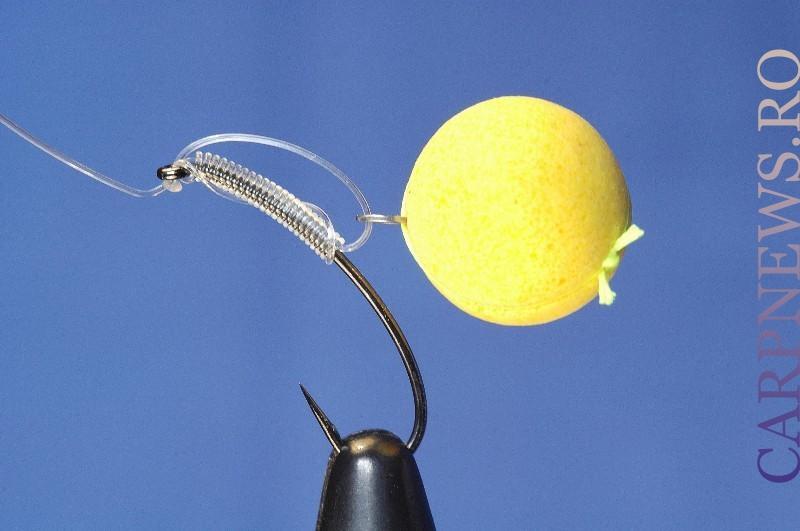 Nice Carp :) - 1custom2.jpg